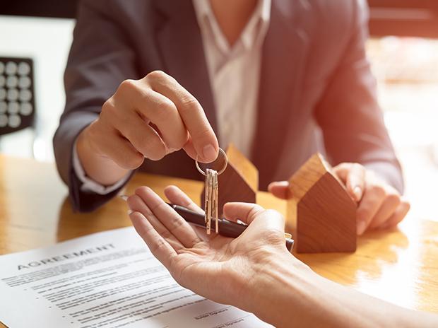 Professional Legal Services